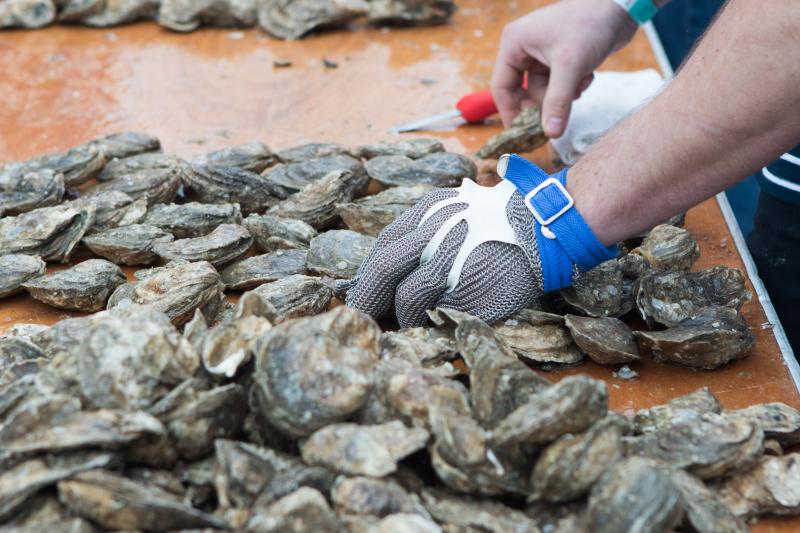 Lowcountry Oyster Festival CHARLESTON MAGAZINE CLUB